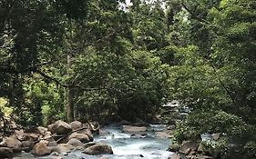 La Pina, Rio Celeste